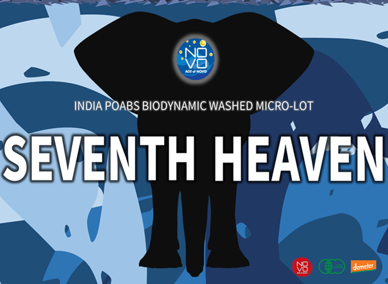 インド SEVENTH HEAVEN ポアブス ビオダイナミック 24-25